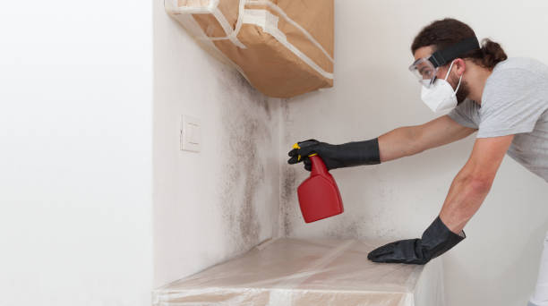 Professional Bathroom Mold Removal technician working in Helotes, TX
